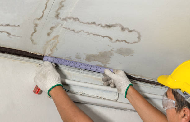 Reliable Water Extraction contractor in Pittsford, MI by Local Water Damage Repair
